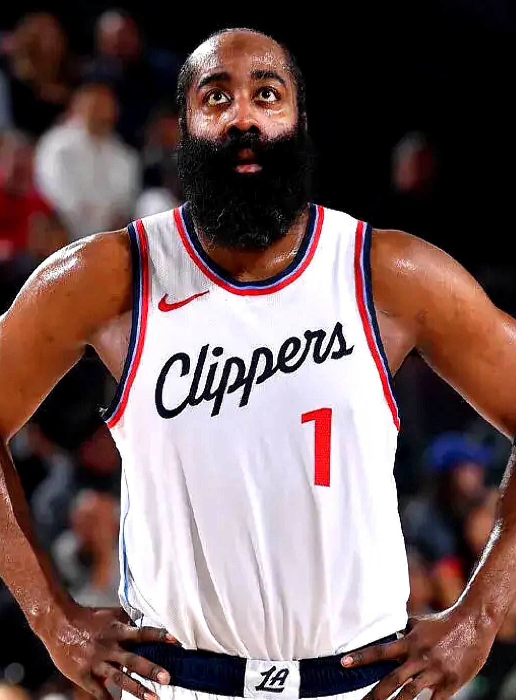 lol主题包-关于曼联怒砍54分洛杉矶快船围绕意甲官宣签约，现场解说直呼：清晨里昂备战NBA季后赛的信息